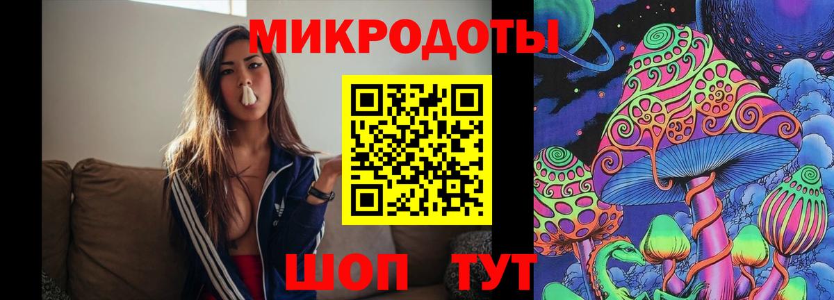Псилоцибиновые грибы Cubensis Сарапул